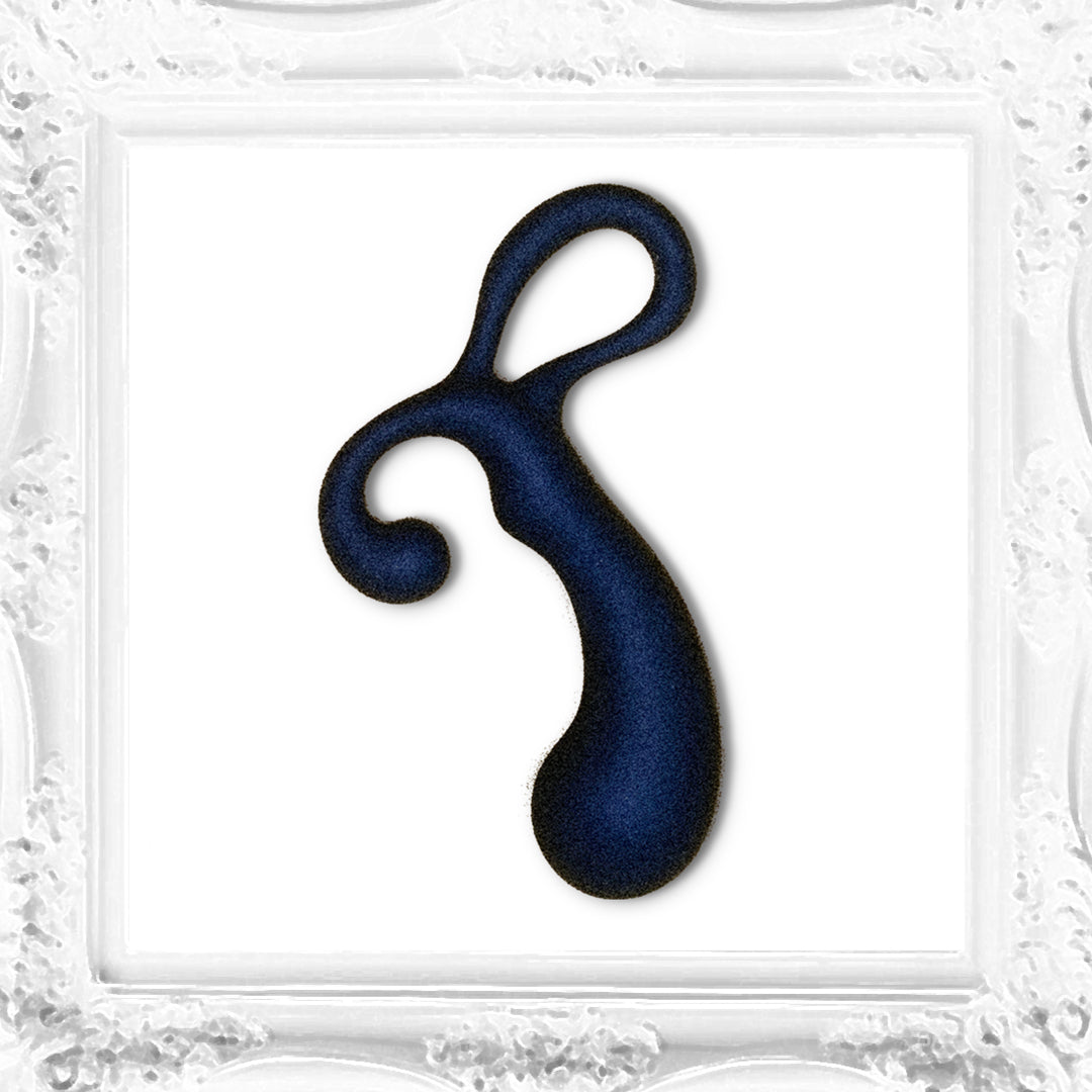 The Ashley Madison Toy™